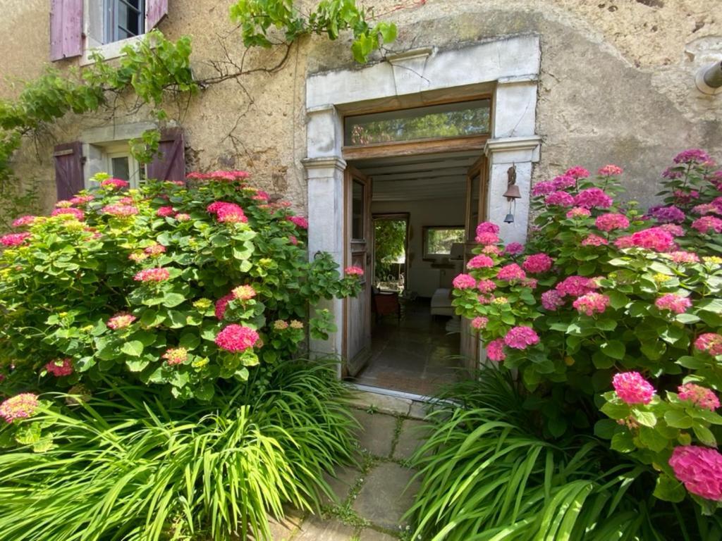 Maison D'Hotes-Maison Castaings Lucq-de-Bearn Екстер'єр фото